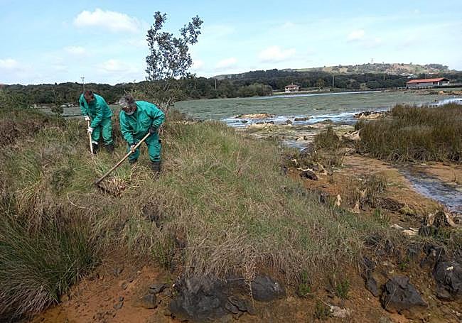 Se van a impulsar programas de control y erradicación de especies exóticas y posterior revegetación autóctona.