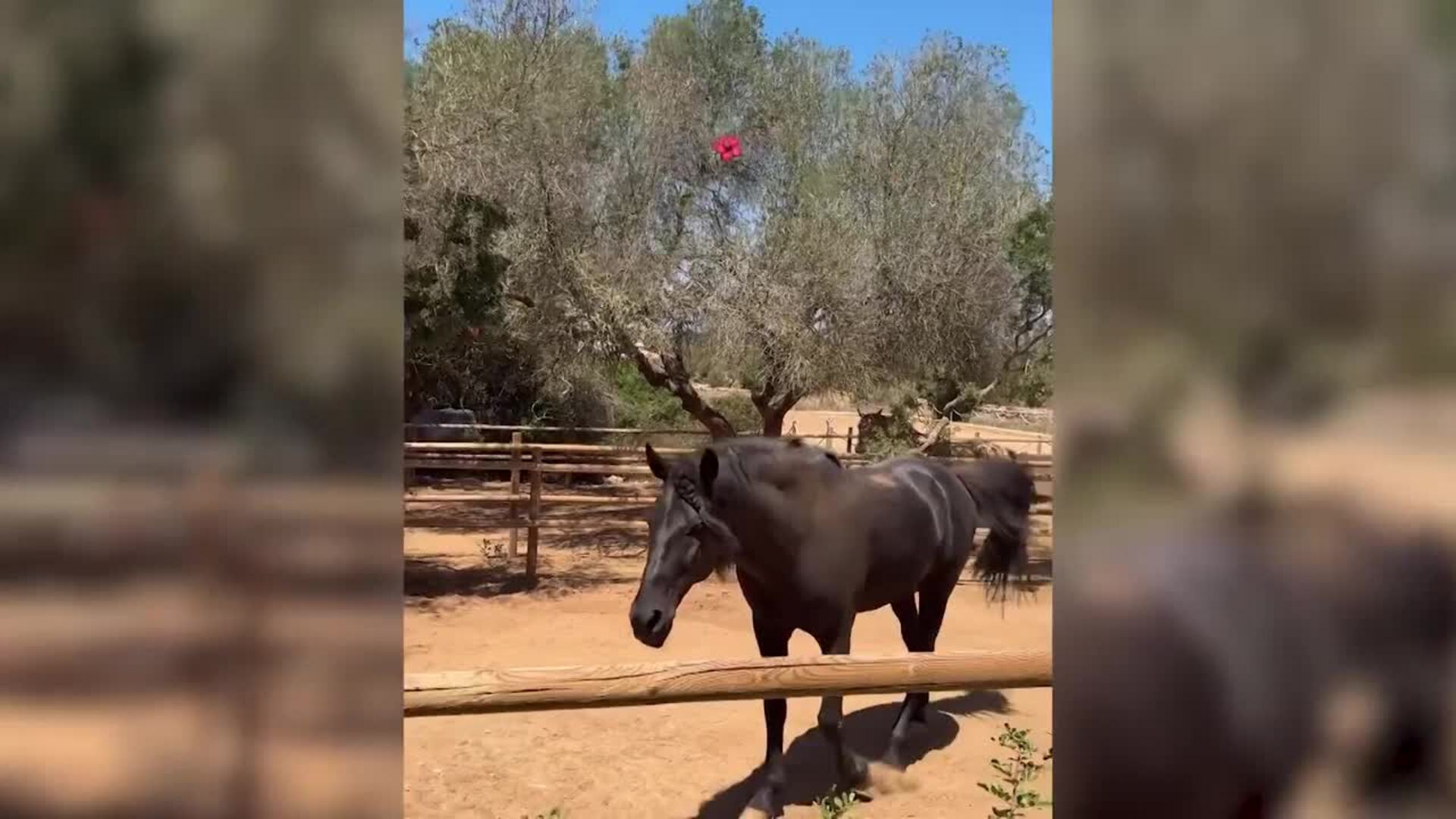 Lola Lolita disfruta de una escapada a Mallorca entre amigas