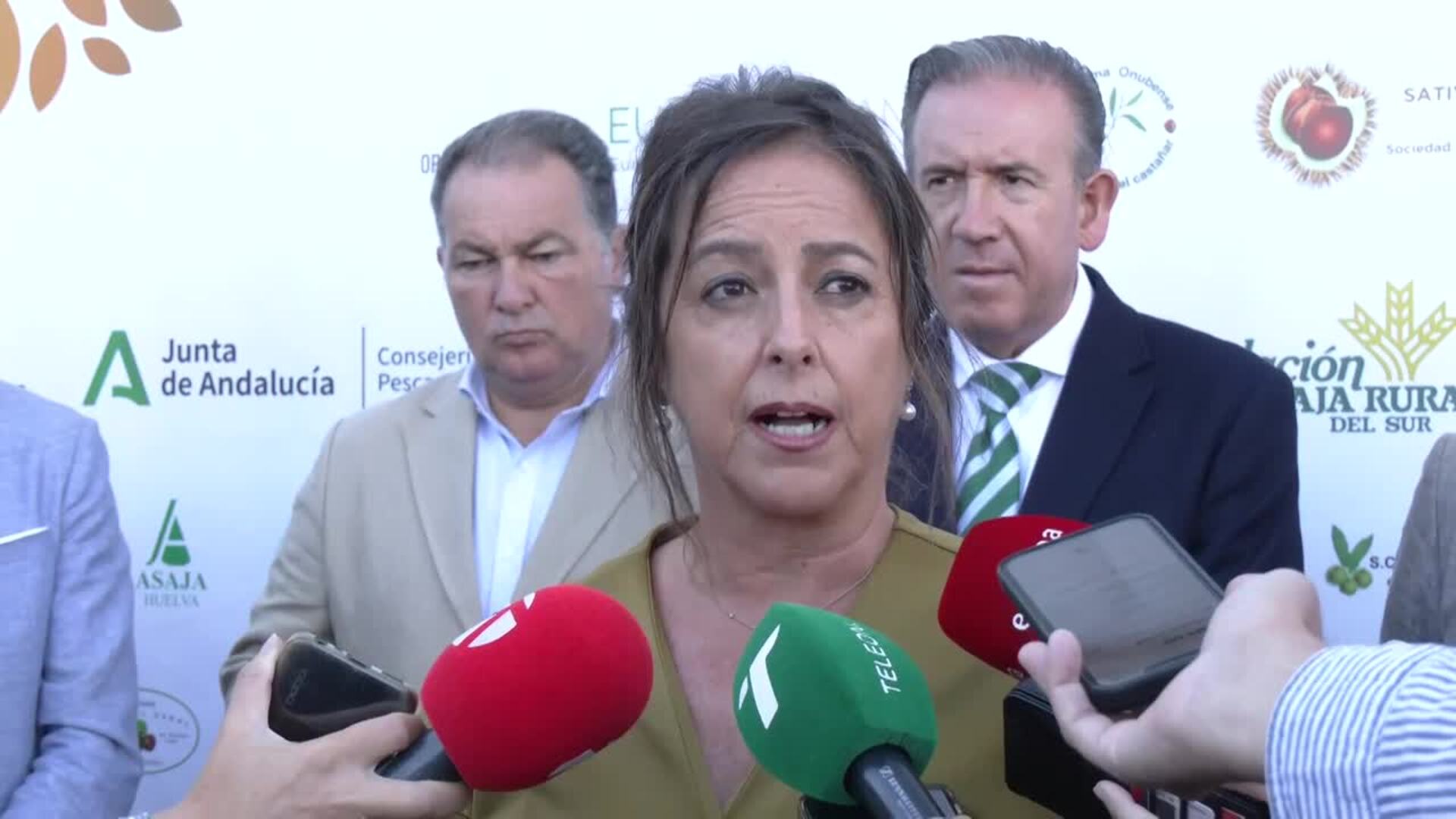 Andalucía asegura que los protocolos "funcionan" tras los casos de gripe aviar en Doñana