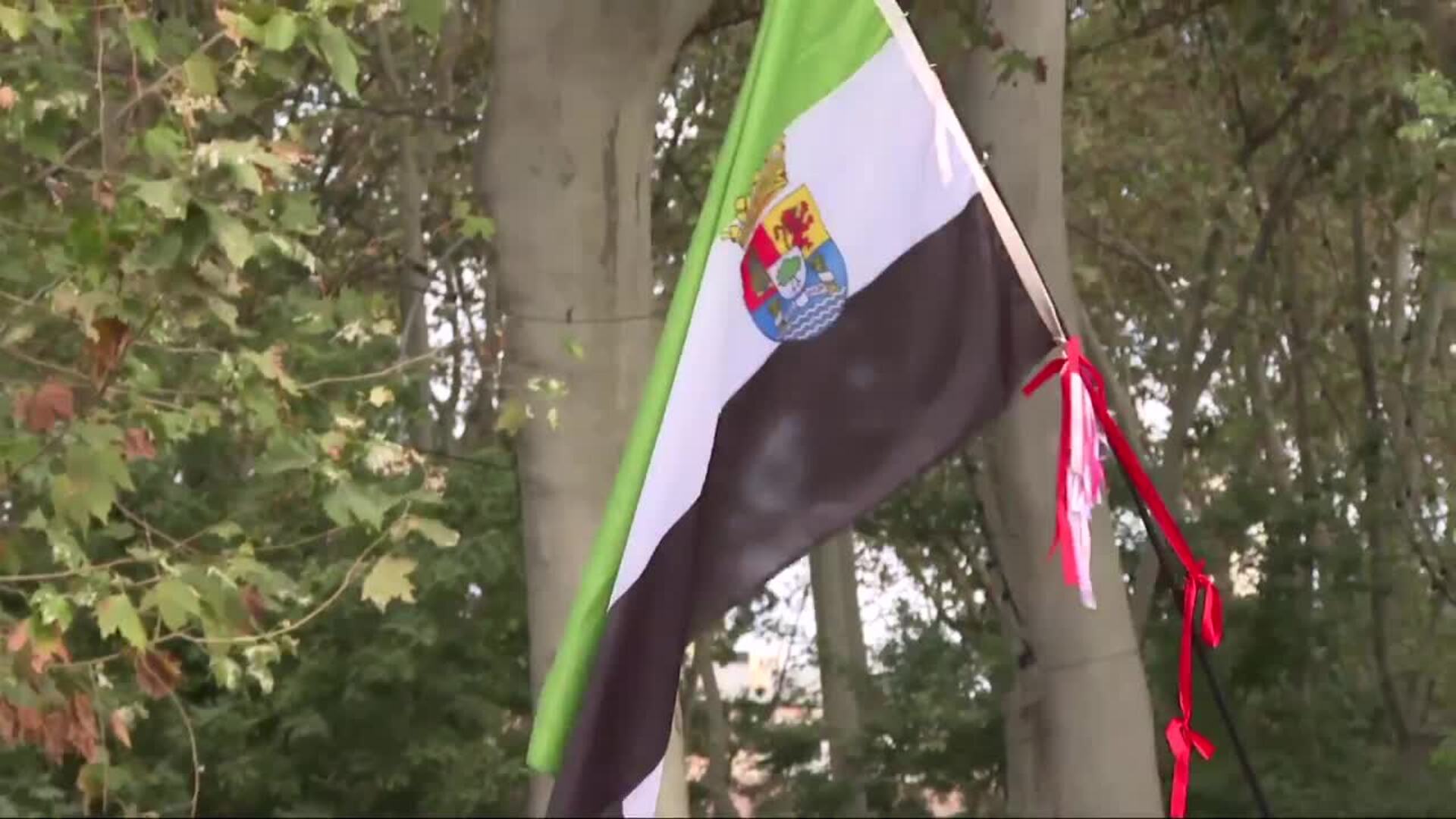 Ciudadanos celebran "el glorioso día nacional" asistiendo al desfile de las Fuerzas Armadas