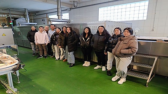 Los equipos se adentran en la última fase de trabajo con la ayuda de sus mentores