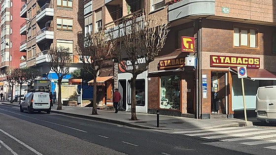 El Ayuntamiento de Torrelavega comienza la poda de 200 árboles para rebajar su porte