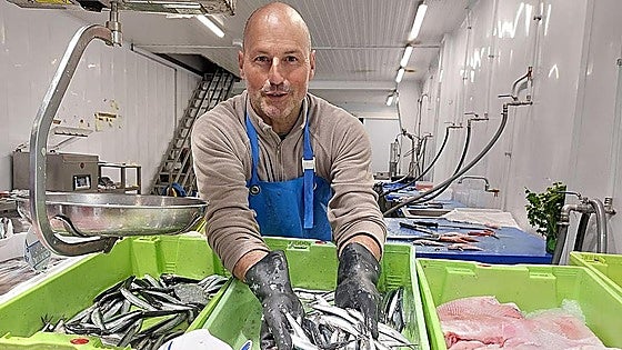 Comienza la costera del bocarte sin subastas en los puertos cántabros