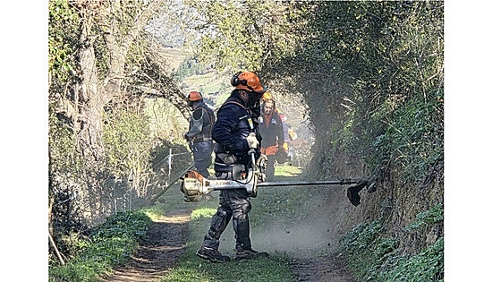 Cillorigo de Liébana lidera un nuevo programa de empleo y formación forestal