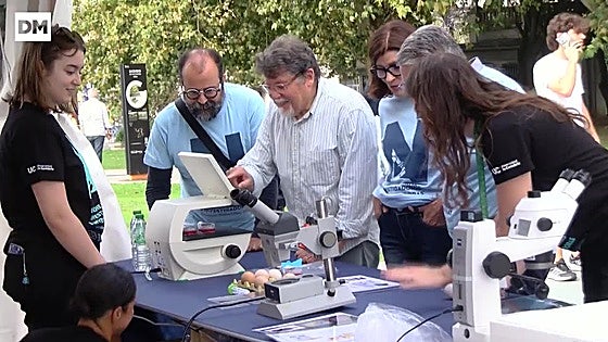 Toda la investigación a pie de plaza