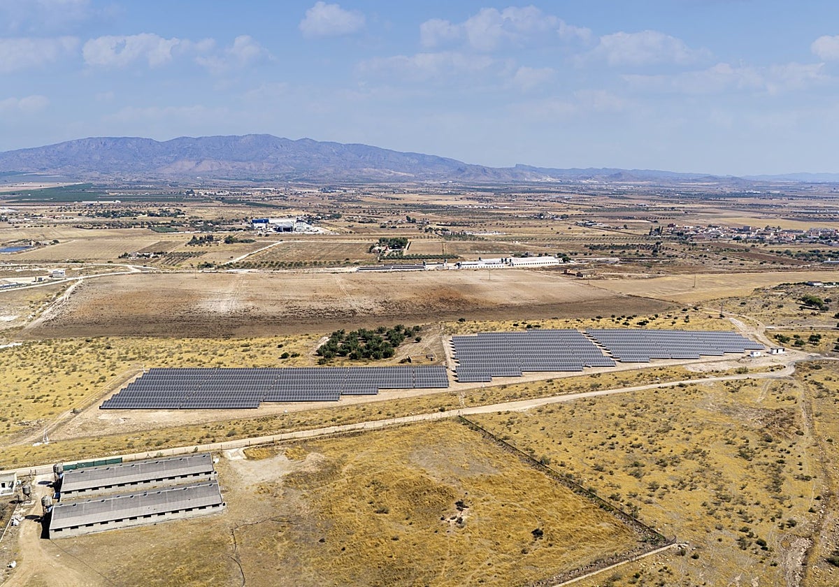 Planta fotovoltaica de Álamo I, ya construida en Murcia y que Pitma Generación pondrá en marcha en el tercer trimestre.