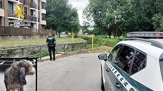 Rescatan a un perro a punto de ahogarse en un canal de La Penilla de Cayón