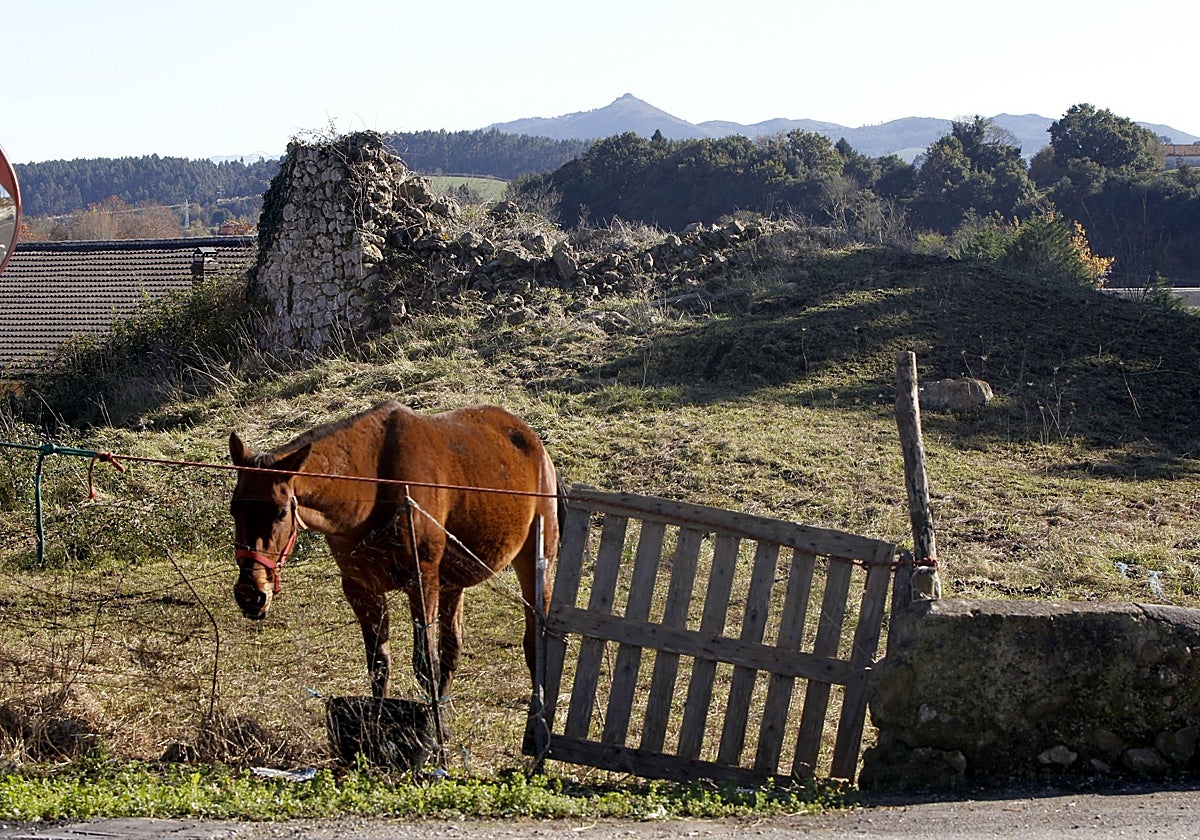 Reocín licitará en unos días las obras para proteger los restos del torreón de Villapresente