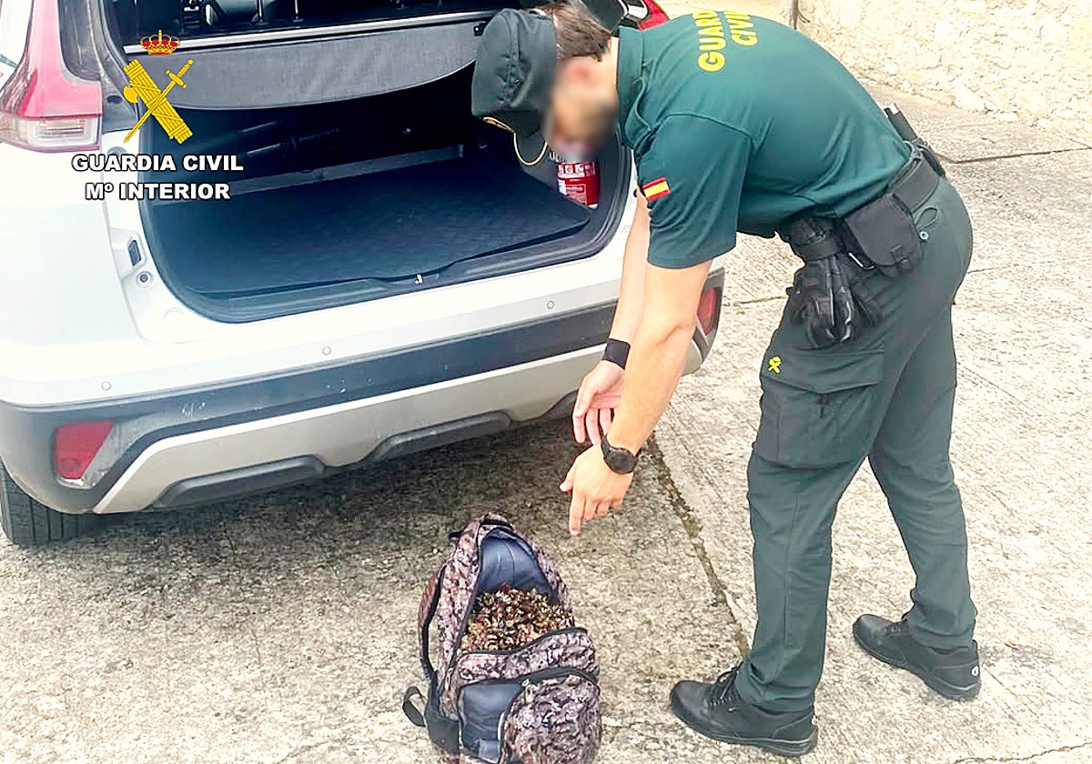 Interceptados dos furtivos en la costa de Arroyo-Santillana del Mar con más de 16 kilos de percebes