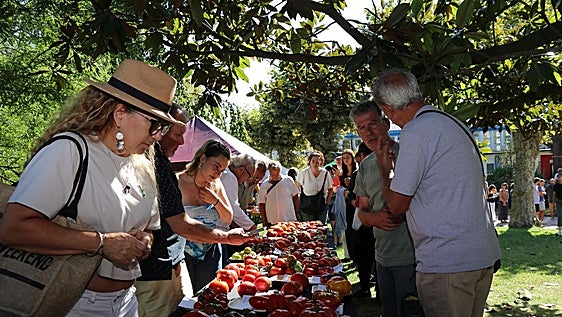 Más de 800 participantes compiten en Polanco por el premio al mejor tomate