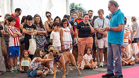 El desfile canino de Liencres consigue un hogar para la galga Honey