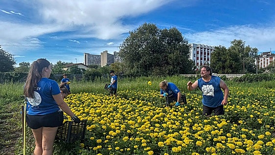 El secreto de la Batalla de Flores