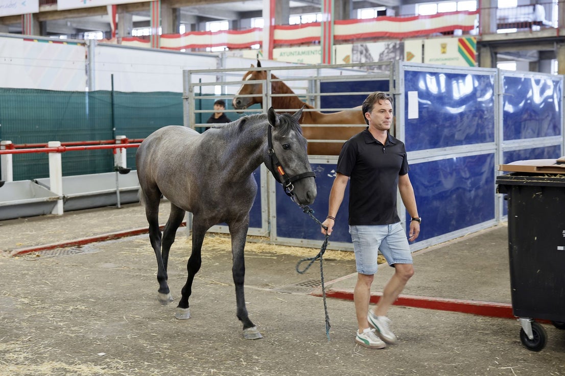 Uno de los participantes se dirige a pista con su caballo ya preparado para el gran desfile.
