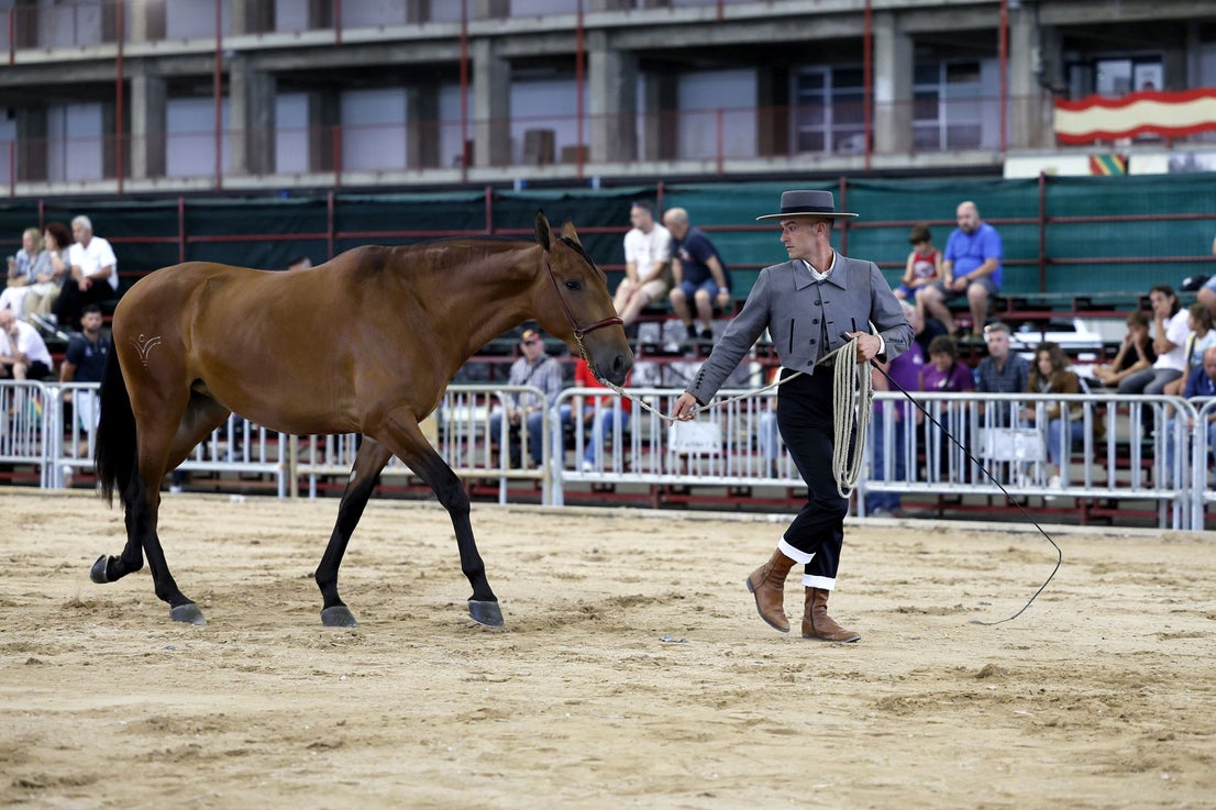 Domadores y caballos desfilan con destreza.