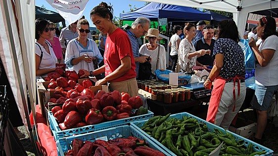 El sabor del pimiento de Isla es «especial»