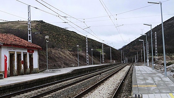 La caída de un árbol sobre la vía interrumpe durante nueve horas la circulación de trenes de Cercanías en la línea C1