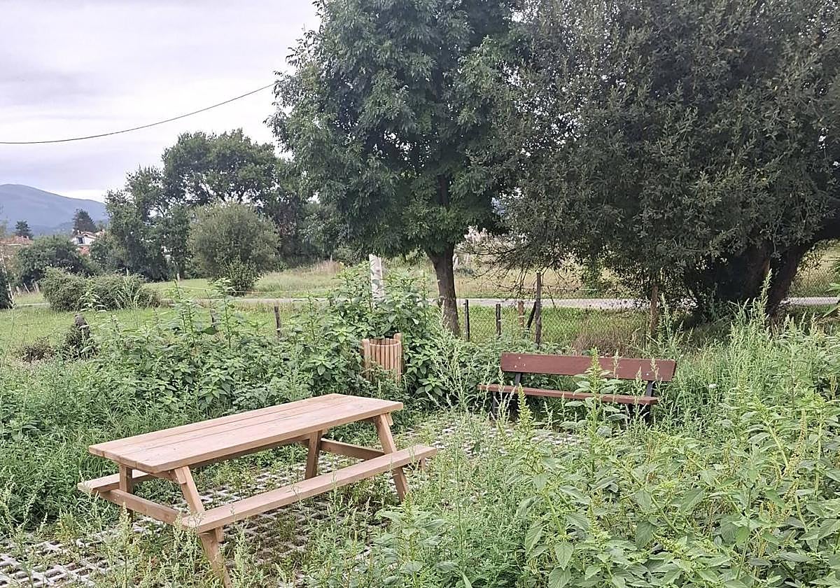 La senda verde de Tanos está llena de maleza y esperando su primer mantenimiento