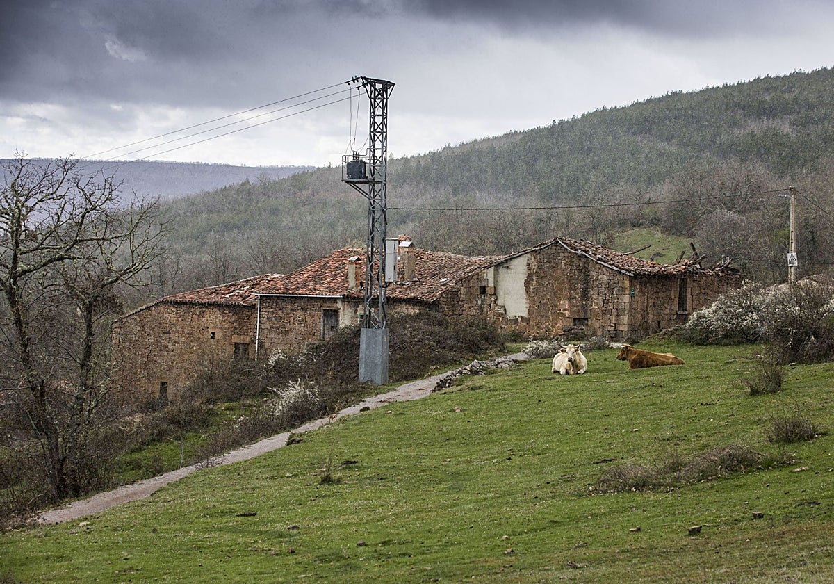 Paisaje de Quintanasolmo, uno de los 52 núcleos habitados del municipio de Valderredible.