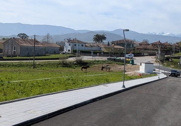 Parcela que se cederá para construir las primeras 37 viviendas sociales en La Revilla.