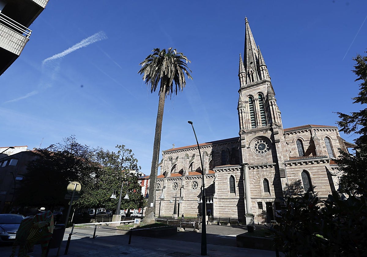 Un tratamiento intenta salvar la última palmera centenaria de La Asunción