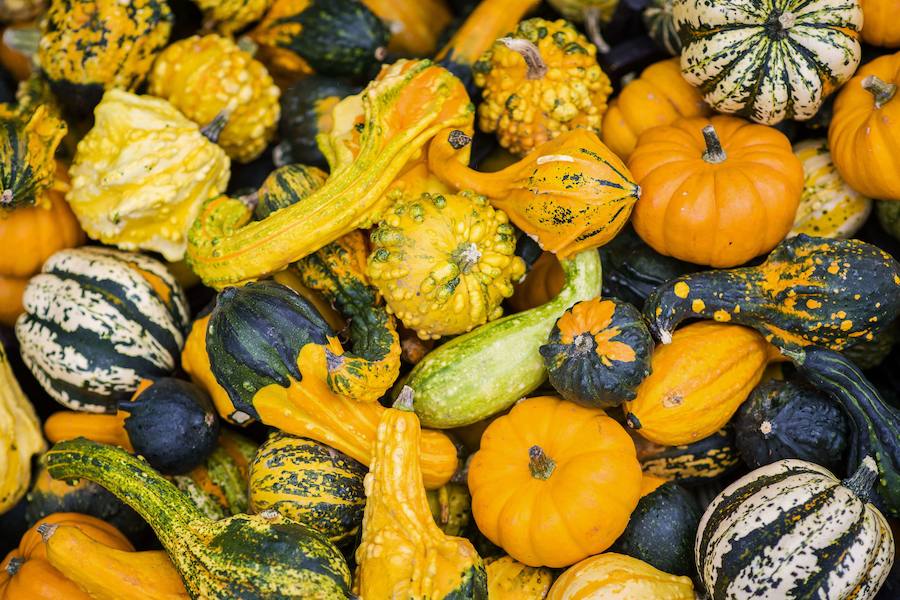 Verduras como la calabaza, que tiene betacarotenos y aporta vitamina A y C, nos ayudan contra el cansancio y la depresión otoñal. 