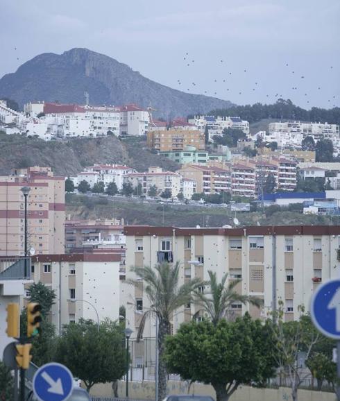 Vista de Ciudad Jardín. 