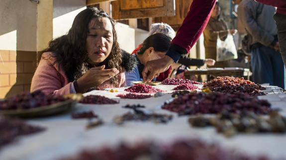 Venta de rubíes en Mogok. 