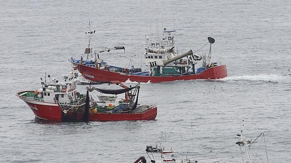 Una quincena de embarcaciones cántabras se han lanzado al mar. 