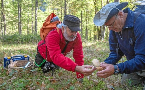 Las 7.000 setas del otoño cántabro