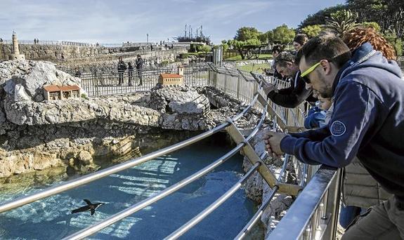 Dos faros, tres casas y una iglesia para los pingüinos del zoo de La Magdalena