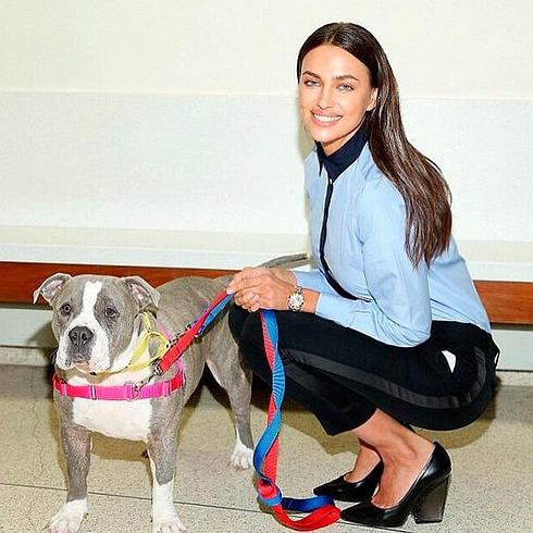 Irina Shayk junto a la perrita Gracie.