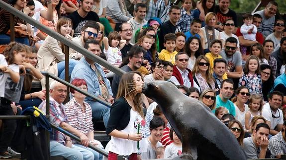 Imagen del Parque de Cabárceno de este domingo.