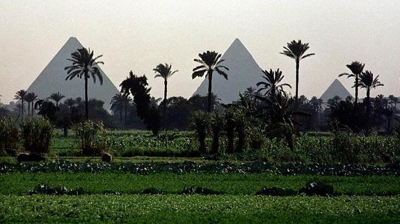 Vista de las pirámides de Giza.
