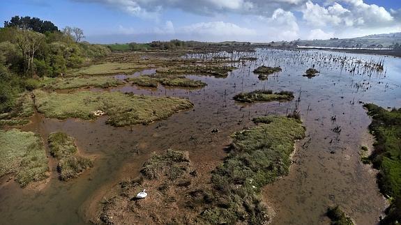 Panorámica de las marismas de Oyambre.