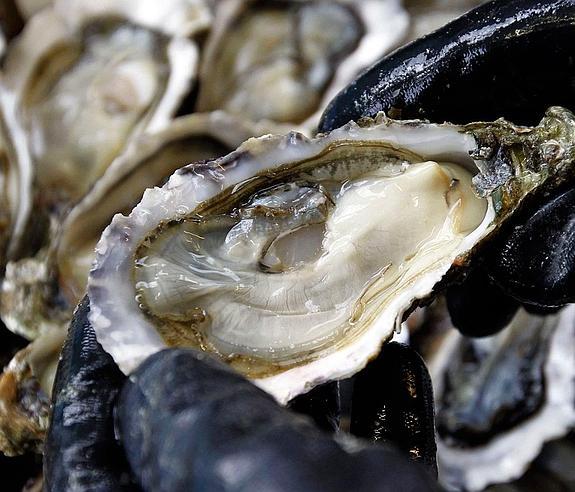 Ostra recién abierta en un criadero de Andernos Les Bains,Francia. :: DM