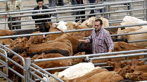 Una de las ferias celebradas en el Mercado Nacional de Ganados.