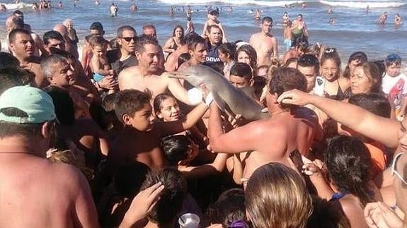 El delfín, pasando de mano en mano, entre la muchedumbre.