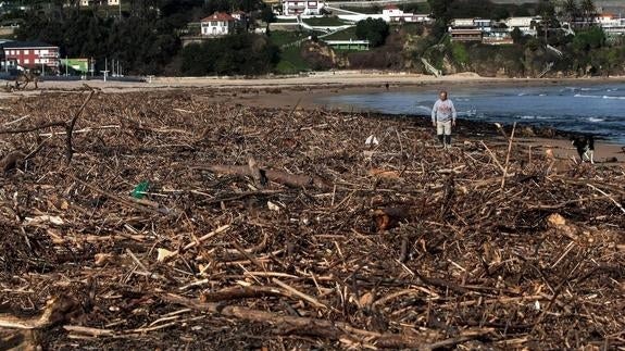 Toneladas de residuos orgánicos cubren la playa de La Concha, la principal de Suances. 