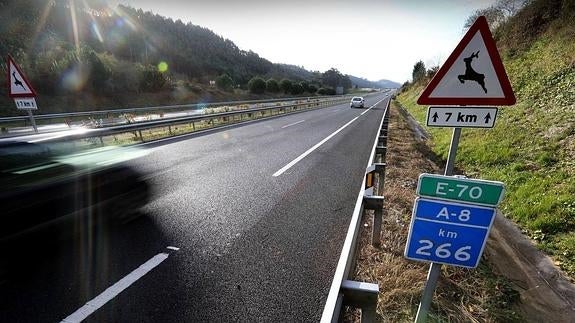 Tramo de la autovía A-8, kilómetro 266, a la altura de Val de San Vicente, que registra el mayor número de accidentes provocados por animales.