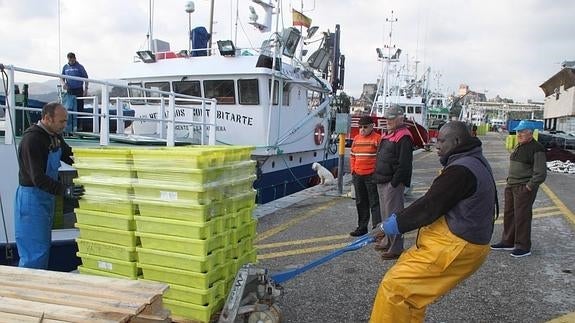 Varios trabajadores descargan bocarte ante la mirada de unos vecinos.