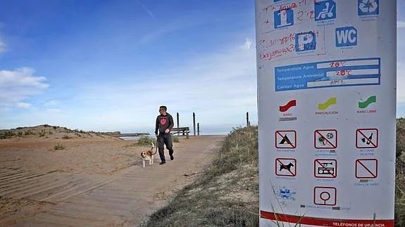 San Vicente prohibirá la presencia de perros en las playas durante el verano