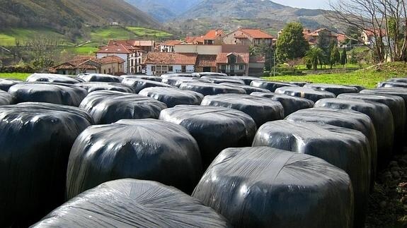 San Felices pide a Mare una solución para el reciclaje de los plásticos de ensilar