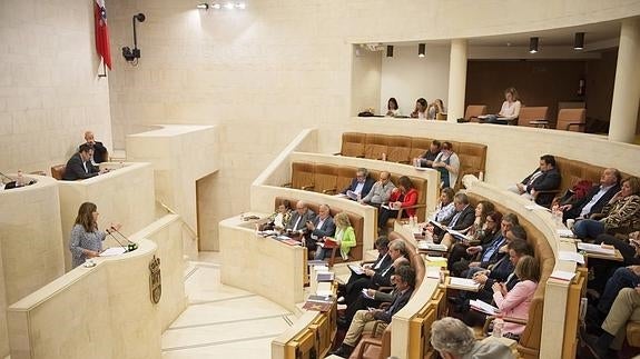 Momento del pleno en el que interviene María José Sáenz de Buruaga.