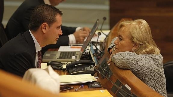 David González Medina conversa en el Parlamento regional con la líder del PP en Asturias, Mercedes Fernández.