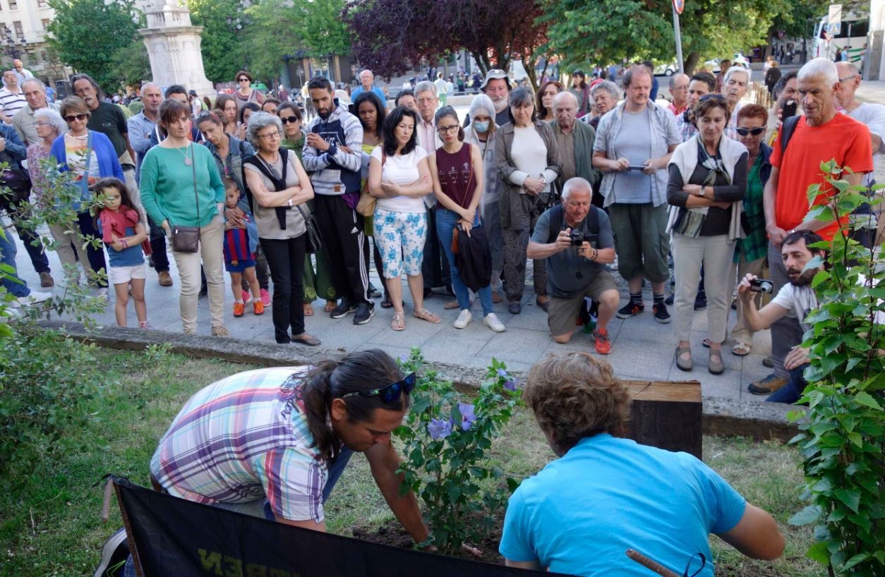 Los jardineros de Cantabria han homenajeado a los refugiados plantando en Atarazanas un ‘Hibiscus Syriacus’, una rosa de Siria.