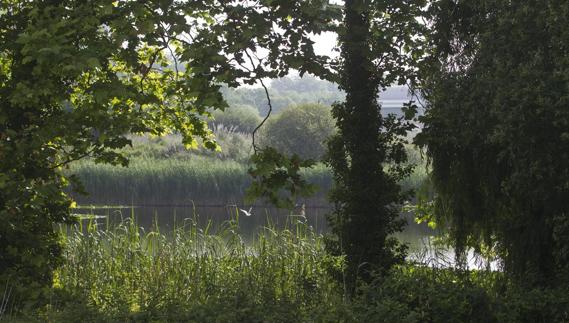 Uno de los rincones de La Remonta