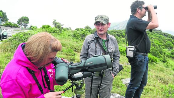 Una periodista británica observa con un telescopio de largo alcance la singular buitrera marina, única en Europa, que anida en el monte Candina, junto a la playa de Sonabia.