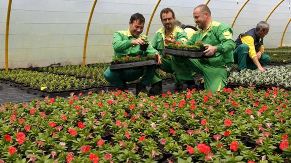 Trabajadores del Serca en la finca de Los Soldados