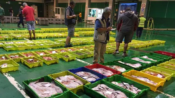Antes de la subasta, los compradores analizan minuciosamente cada lote de pescado.
