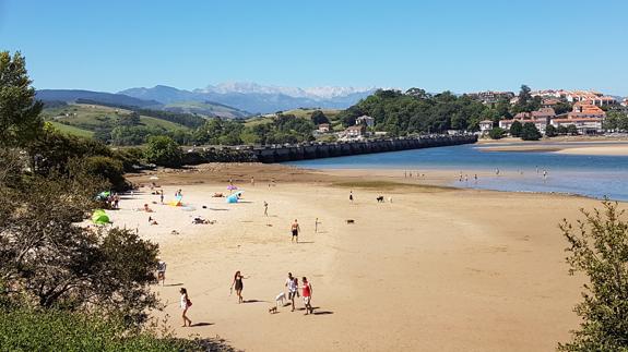 Autorizar la presencia de perros ha otorgado un atractivo añadido a la playa de La Maza.